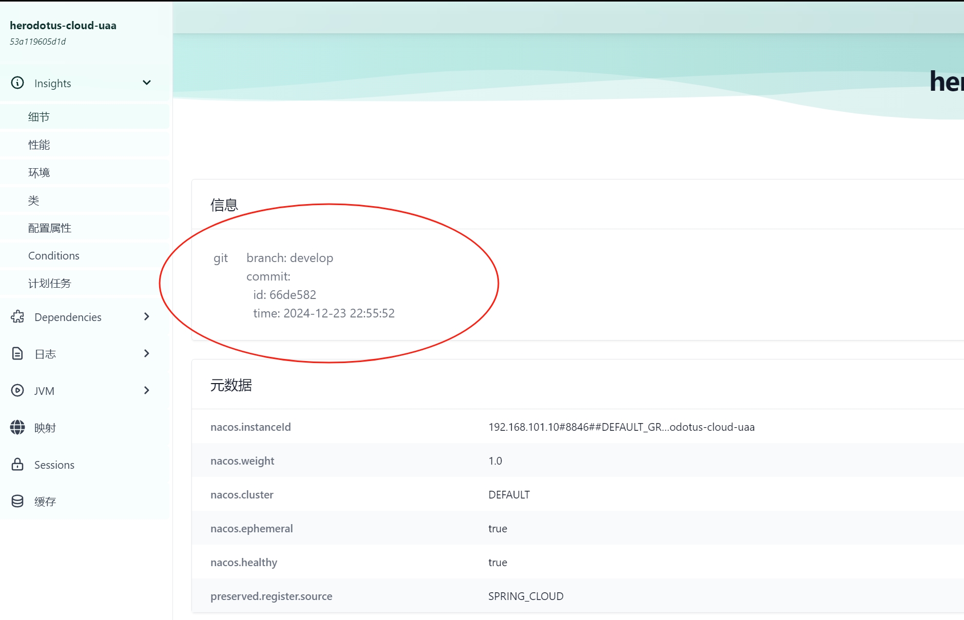 SBA 查看 Git 信息